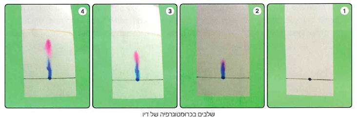 (בספר איור, היעזר במנחה)